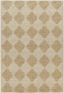Jeran Modern Brown Area Rug