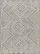 Yousef Modern Silver Gray Area Rug