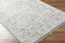Miquel Traditional Medium Gray/Beige Area Rug