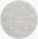 Miquel Traditional Medium Gray/Beige Area Rug