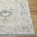 Jamena Traditional Beige Area Rug