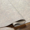 Ileana Modern Light Gray/Ivory Area Rug