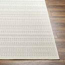 Biagio Modern Light Gray/Cream Area Rug