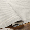 Camillia Modern Light Gray/Ivory Area Rug
