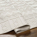 Eryca Modern Beige Area Rug