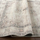 Lila Traditional Blush/Beige Area Rug - Becki Owens x Livabliss