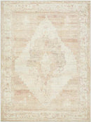 Luca Traditional Blush/Cream Area Rug - Becki Owens x Livabliss