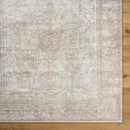 Margot Traditional Blush/Cream Area Rug - Becki Owens x Livabliss