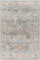 Tanina Traditional Light Gray/Pale Blue Area Rug
