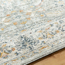 Stepfon Traditional Medium Gray Area Rug