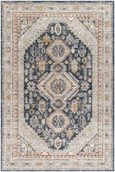 Tiwanna Traditional Charcoal Area Rug