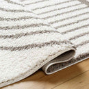 Dainelle Global Light Gray Area Rug