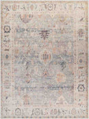Marlene Traditional Medium Gray/Pale Blue Area Rug - Becki Owens x Livabliss