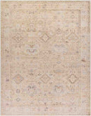 Marlene Traditional Medium Brown Area Rug - Becki Owens x Livabliss