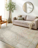 Marlene Traditional Medium Brown Area Rug - Becki Owens x Livabliss