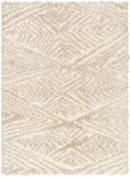 Shadawn Global Ivory/Light Beige Area Rug