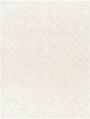 Isis Modern Off-White/Ivory Area Rug