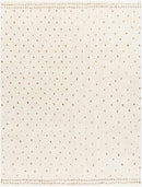 Monisha Modern Ivory/Brown Area Rug