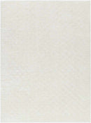 Zechariah Modern Ivory/Off-White Area Rug