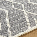 Ajit Global Grey Area Rug