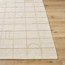 Sharilyn Modern Ash Area Rug