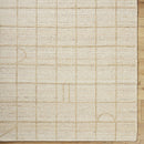 Sharilyn Modern Ash Area Rug
