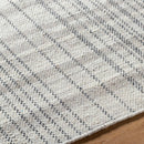 Ishaq Cottage Light Silver Area Rug