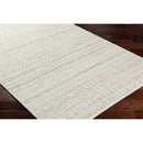 Ishaq Solid and Border Ash Area Rug