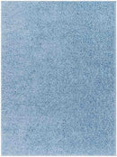 Charon Shag Denim Area Rug