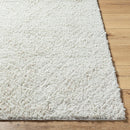 Jalon Modern Off-White Area Rug