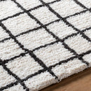 Alorton Modern White/Black Area Rug