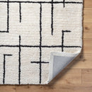 Ieasha Global Off-White/Onyx Area Rug