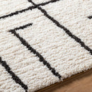 Ieasha Global Off-White/Onyx Area Rug