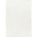 Magdiel Modern Ivory Area Rug