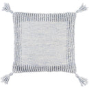 Raffinee Silver Pillow Cover