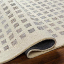 Virgie Modern Light Gray/Cream Area Rug