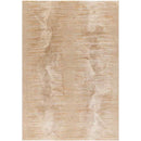 Ayde Modern Dark Brown Area Rug