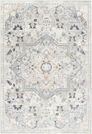 Dartagnan Traditional Light Gray Area Rug