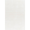 Jett Solid and Border Light Silver Area Rug