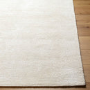 Jett Solid and Border Light Silver Area Rug