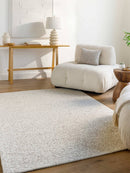 Shiann Modern Light Silver Area Rug