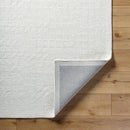Shardee Modern Light Silver Area Rug