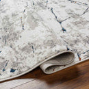 Ricci Modern Medium Gray Area Rug