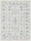 Quince Traditional Light Gray Area Rug