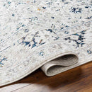 Quince Traditional Light Gray Area Rug