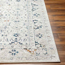 Quince Traditional Light Gray Area Rug