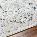 Quince Traditional Light Gray Area Rug