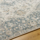 Ranee Traditional Denim/Charcoal Area Rug
