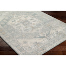 Shaila Traditional Denim/Charcoal Area Rug