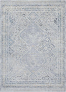Dakesha Traditional Charcoal/Beige Area Rug